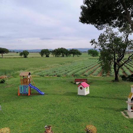 Agriturismo Susanna E Atria Bibbona Luaran gambar