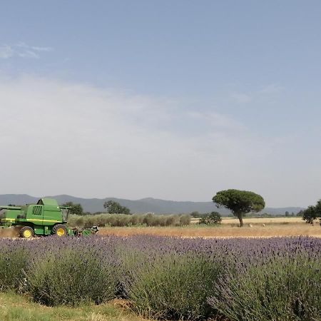 Agriturismo Susanna E Atria Bibbona Luaran gambar