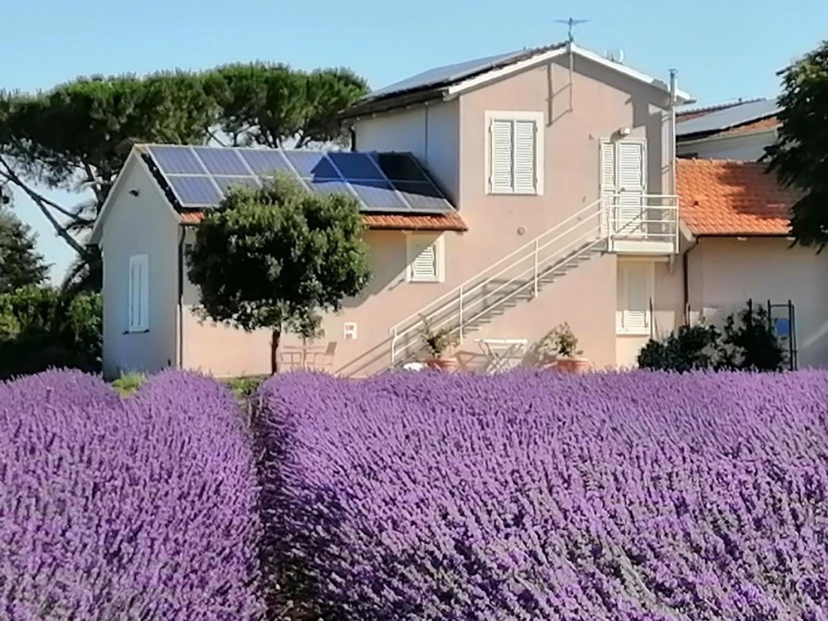 Agriturismo Susanna E Atria Bibbona Luaran gambar