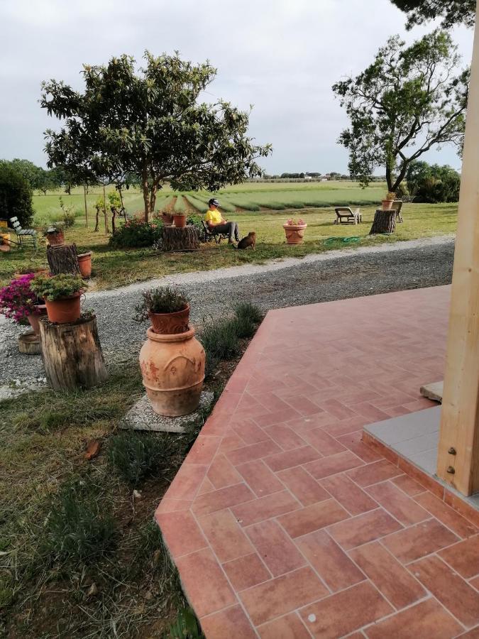Agriturismo Susanna E Atria Bibbona Luaran gambar