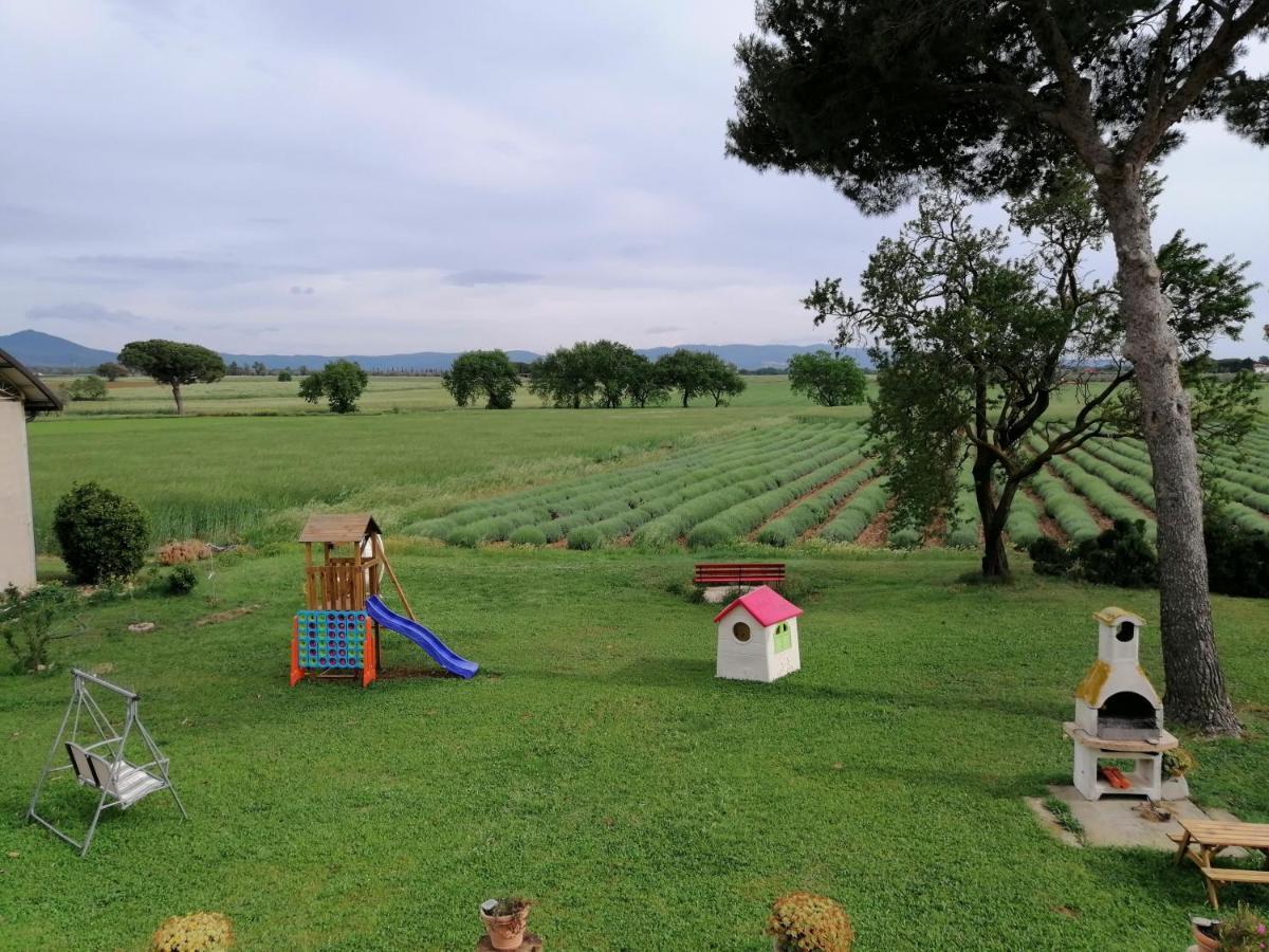 Agriturismo Susanna E Atria Bibbona Luaran gambar