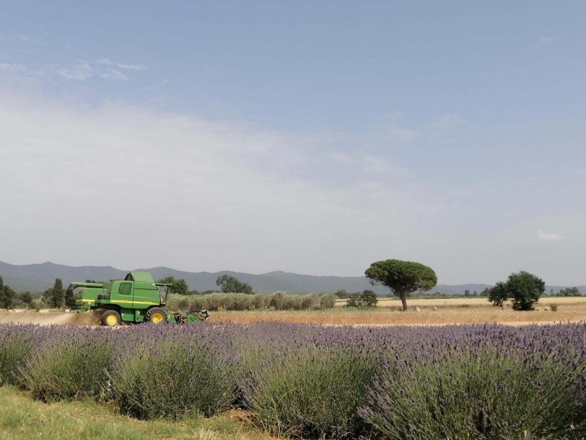 Agriturismo Susanna E Atria Bibbona Luaran gambar
