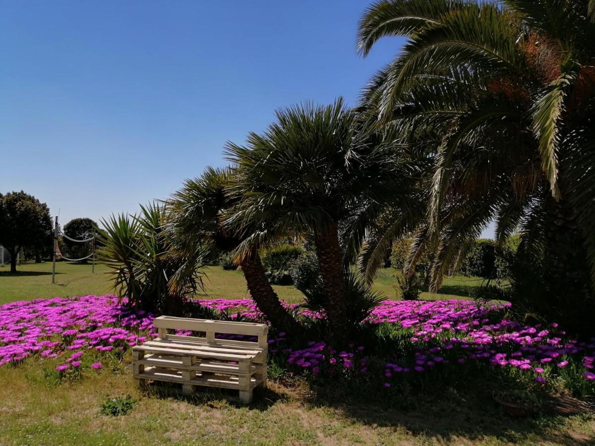 Agriturismo Susanna E Atria Bibbona Luaran gambar
