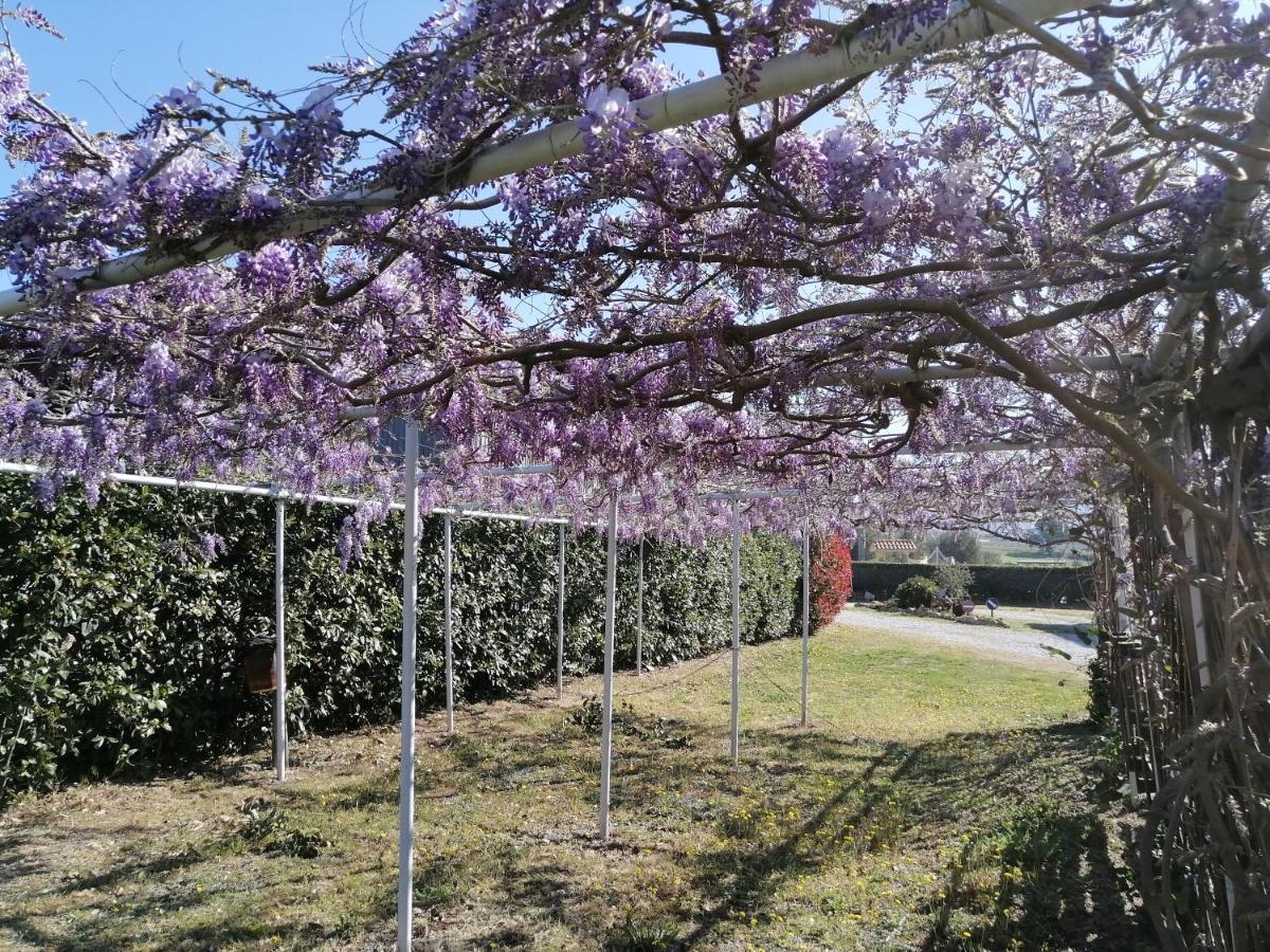 Agriturismo Susanna E Atria Bibbona Luaran gambar